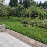 Oasis * Bled