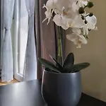 Oasis Apartamento Bled