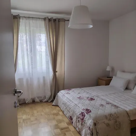 Apartament Oasis *