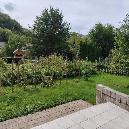 Apartament Oasis *