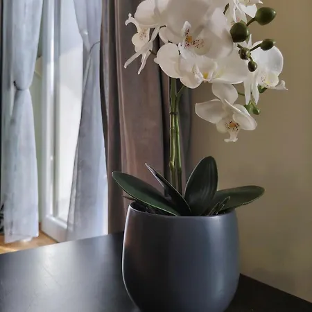 Oasis Apartament Bled